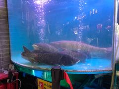 -红日饭店(裕隆三路店)