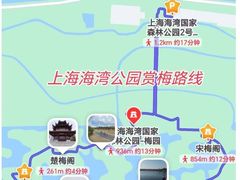 -上海海湾国家森林公园