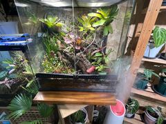 -Rabbit Cafe私房西餐甜点咖啡(栖霞路店)