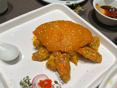 -望乡楼上海菜(日月光店)