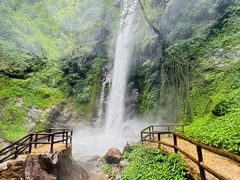-莫里热带雨林景区
