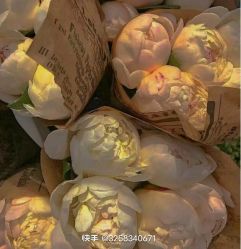 -HEYAN荷妍专业脱毛连锁机构