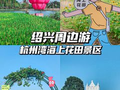 -杭州湾海上花田景区