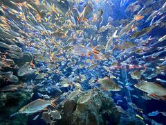 -成都浩海立方海洋公园