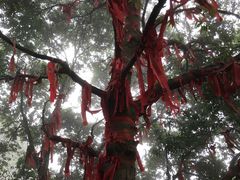 -金堂县云顶石城风景区