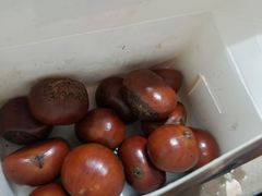 -盒马鲜生(大成店)
