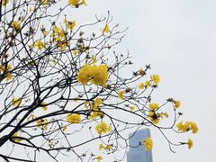 -广州珠江公园