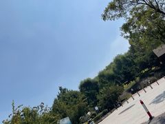 -莫子山公园