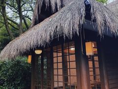 -中国茶叶博物馆(双峰馆区)