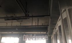 -DNA舞室