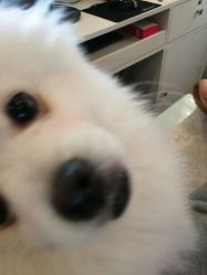 -小红楼美甲美容中心