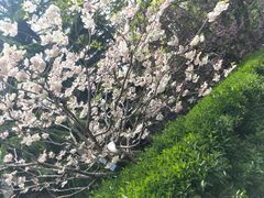 -悦喜客来购物广场(中山路店)