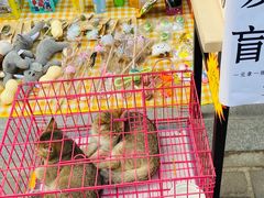 -狮虎桥路