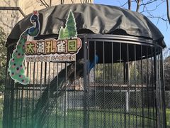 -太湖饭店玉兰厅(自助餐厅)