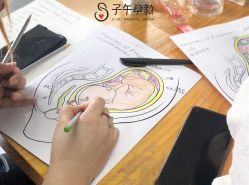 -子午孕教·孕妇瑜伽产后恢复(市北店)