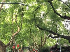 -杭州黄龙洞