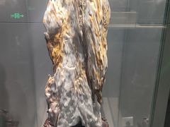 -安徽省地质博物馆