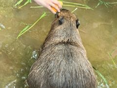 -上海野生动物园
