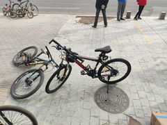 -道路口单车爱瓦士dahon大行