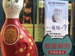 -猫咪博物馆(顶澳仔猫街店)