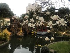 景观位-上海虹桥宾馆味翠餐厅