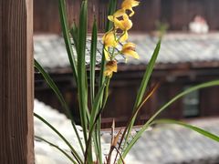 -云水谣景区-土楼之光文化园