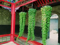 绿油-长安寺