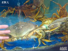 -友鹏海鲜(新宜白大道店)