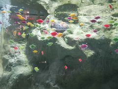 -苏州海洋馆