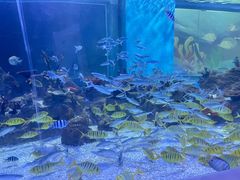 -常州海昌海洋探索馆