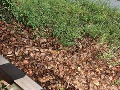 -WeLope紫金山探险公园