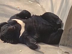 -保定市动物园