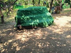 -亲兄弟真人CS团建拓展基地