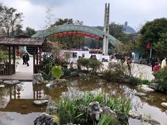-南山植物园