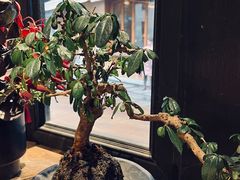 -Metal hands·铁手咖啡