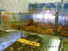 -嘉豪酒家(上环店)