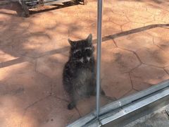 -南戴河国际娱乐中心