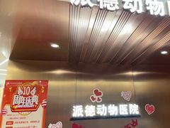 -pd派德宠物中心医院24H急重症·眼科中心·血液透析中心(嵩山北路店)