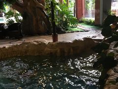 -中铁花水湾四季温泉谷