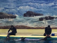 -福州罗源湾海洋世界旅游区