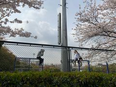 -同济大学（四平路校区）-图书馆