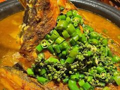 鲜青椒爽麻烤鱼-探鱼·鲜青椒爽麻烤鱼(三水广场店)