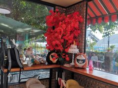 -柴犬高等学院·狗咖·柴犬售卖·宠物训练