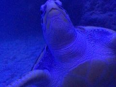 -上海长江河口科技馆