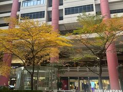 -上海波特曼丽思卡尔顿酒店