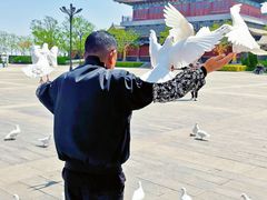 -天津妈祖文化园