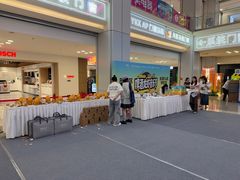 -红星美凯龙北京至尊MALL(东四环中路店)