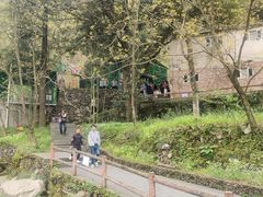 -藏龙百瀑风景区