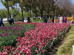 -玄武湖景区-情侣园游乐场