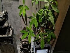 -百富源·海鲜辽菜(浑河堡店)